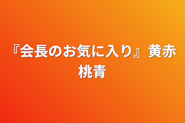 『会長のお気に入り』黄赤 桃青