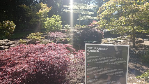 The Japanese Garden