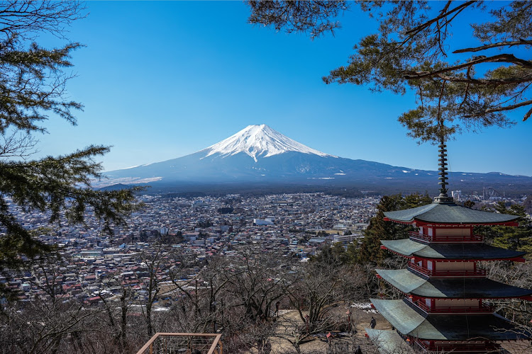 の投稿画像5枚目