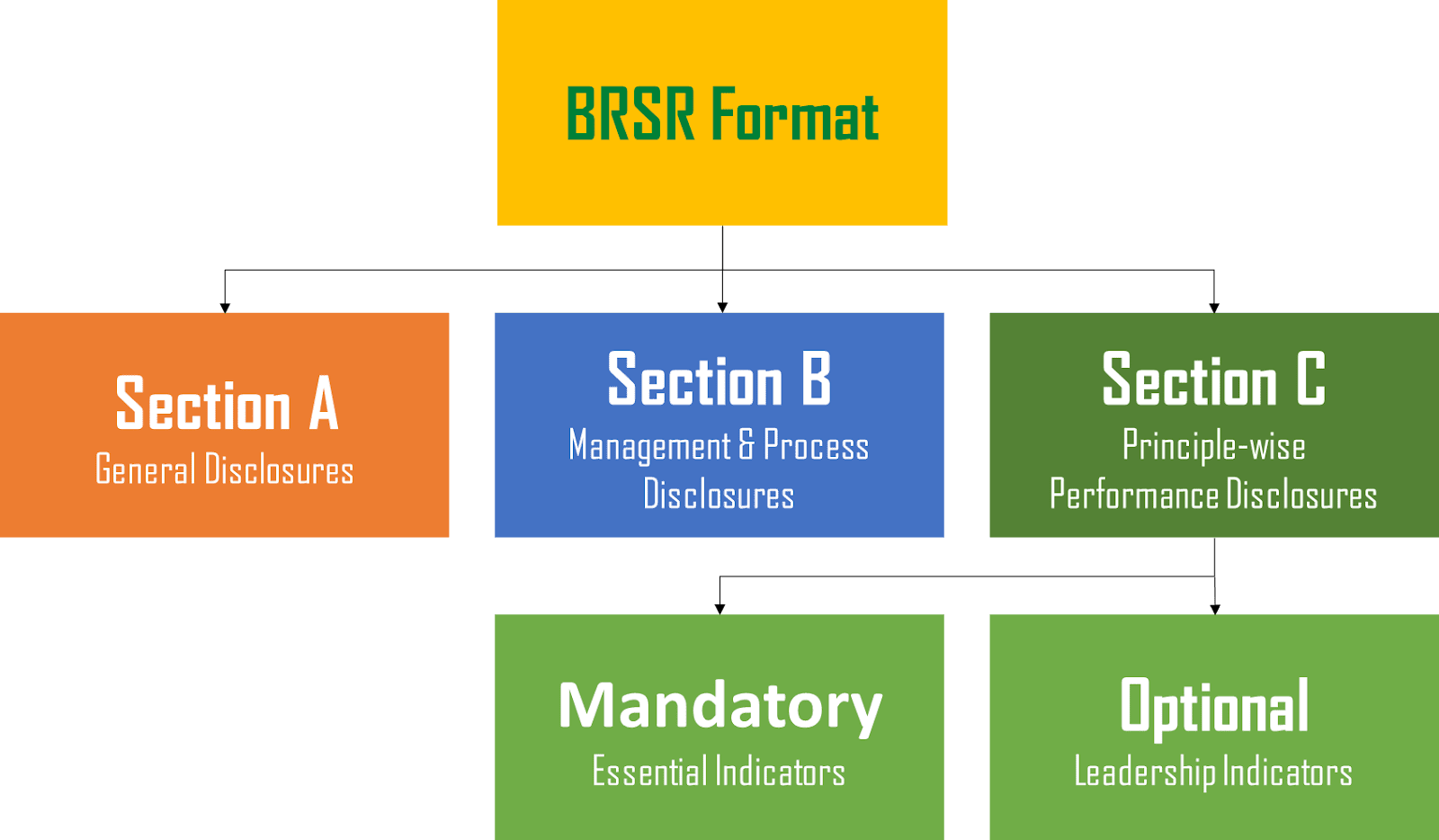 BRSR Format for ESG by SEBI (India)