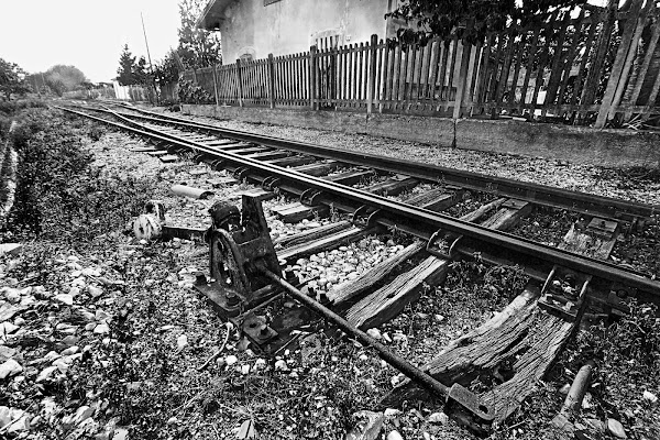 Alla ricerca del treno perduto di francymas