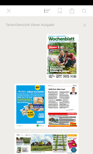 BLW Wochenblatt(圖4)-速報App