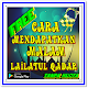 Download Lailatul Qadar For PC Windows and Mac