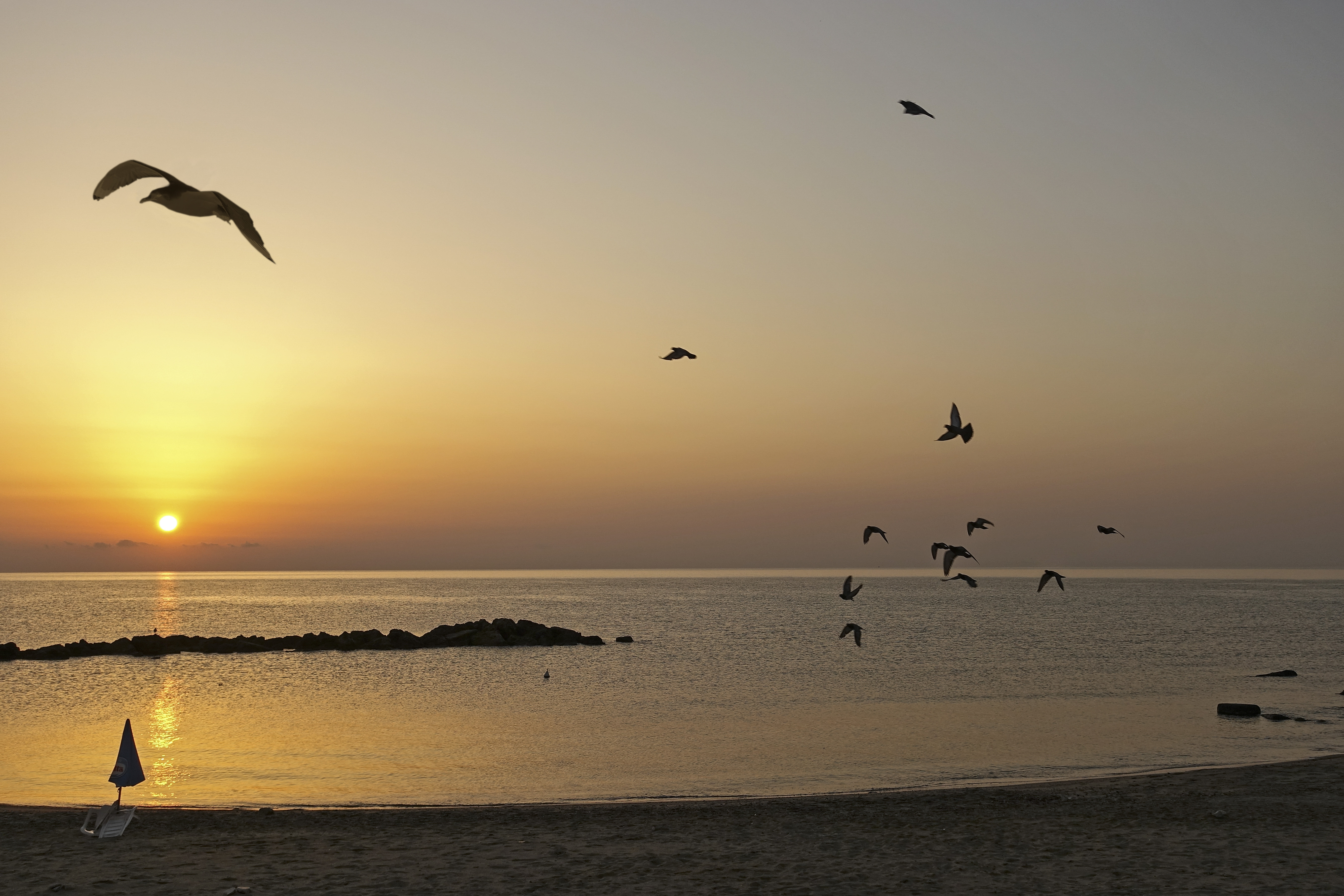 magico battito d'ali di lugiube