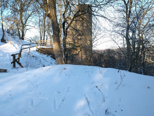 Burgruine Falkenstein