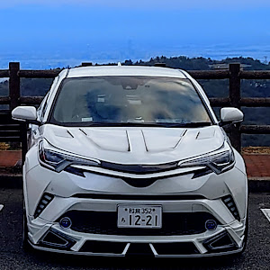 C-HR ZYX10