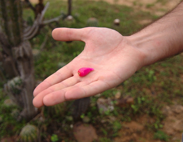 Колумбия : По дороге с облаками Колумбия : По дороге с облаками