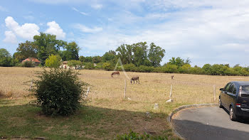 appartement à Villenave-d'Ornon (33)