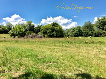 terrain à Saint-Jean-de-Côle (24)