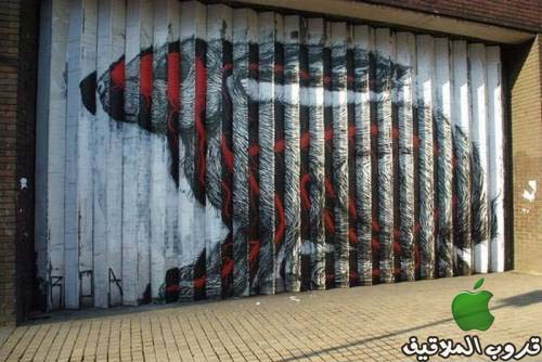 فــن الـــرسم  Street-art-6