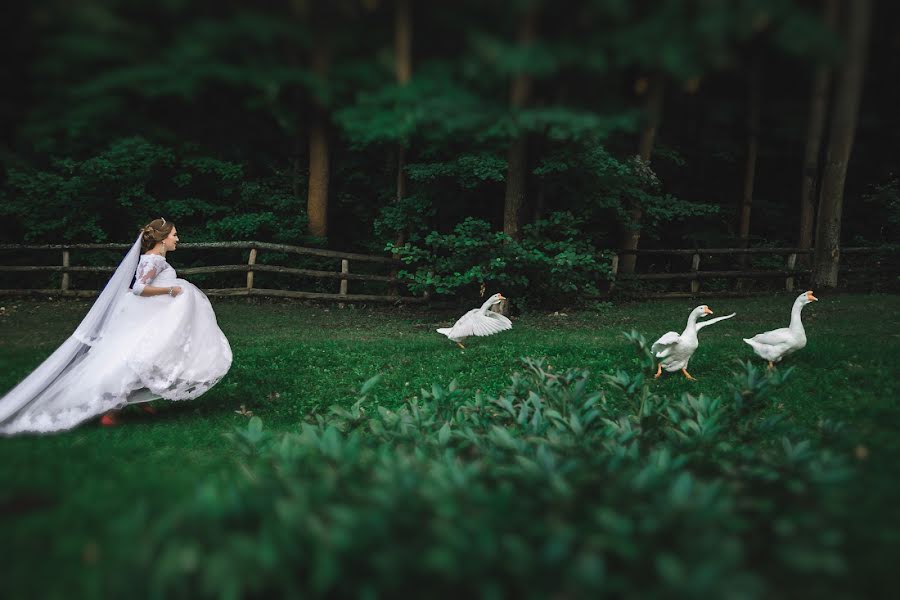 結婚式の写真家Igor Shashko (shashko)。2017 10月3日の写真