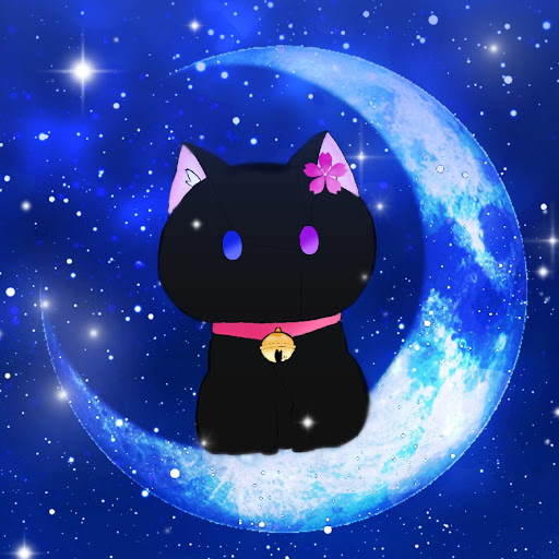 🌙夜桜猫🌸