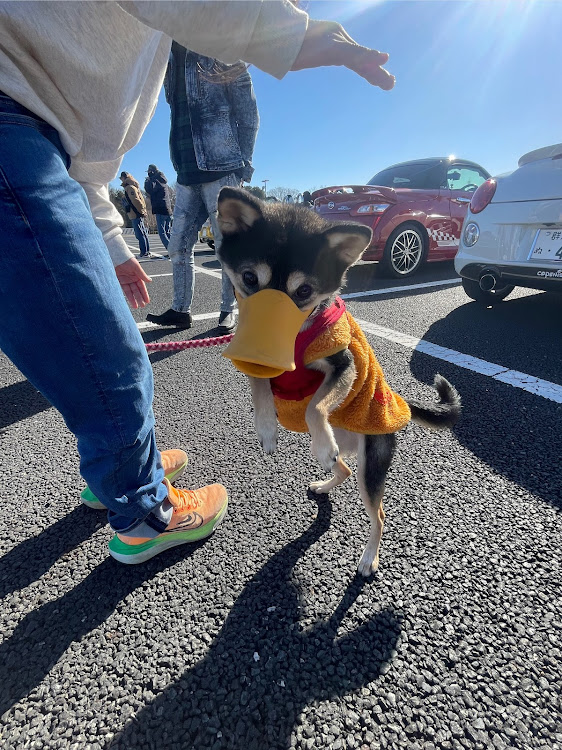 S660のオールジャンルミーティング・北関東茶会についてのお知らせに関するカスタム事例の投稿画像2枚目