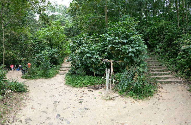 Bukit Sri Bintang Hiking