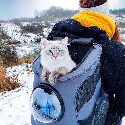 High Quality Lightweight Bubble Breathable Space Capsule Outdoor Cat Dog Travel Bag Astronaut Pet Carrier Backpack For C