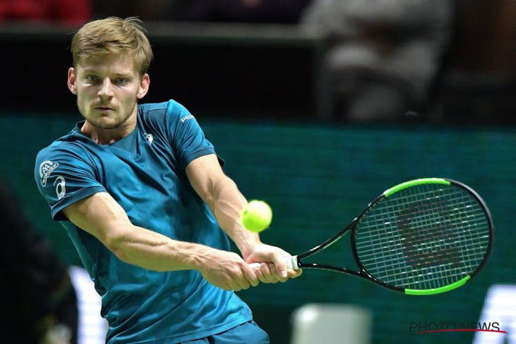 Eindelijk nog eens uitstekend nieuws voor David Goffin 