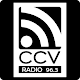 CCV RADIO 96.3 Download on Windows