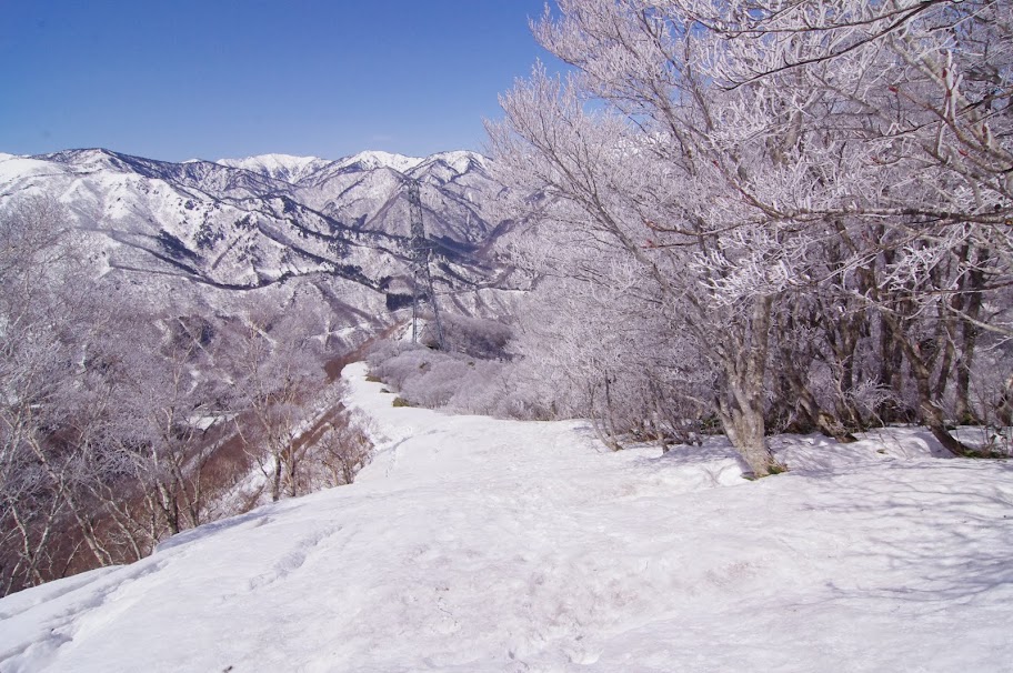 また後ろを振り返る