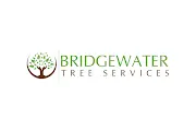 Bridgewater Tree Services  Logo