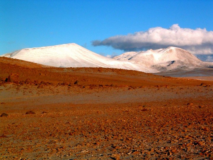 Neve su Marte di tarlino