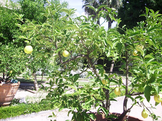 Gioielli della Terra di TIZIT