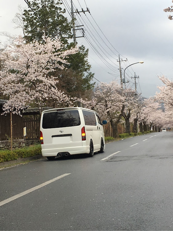 の投稿画像1枚目