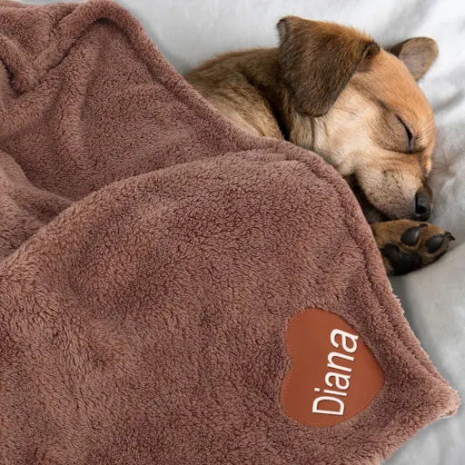 Soft Fluffy Dog Blanket Personalized Fleece Pet Blankets Free Printed Name Warm Dogs Heart Pattern Mat for Bed Sleeping 