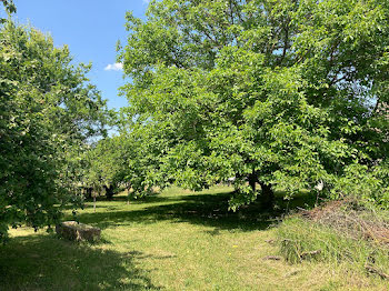 terrain à Villemoiron-en-Othe (10)