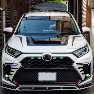 RAV4 AXAH52