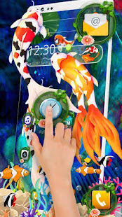 Beautiy Colorful Koi Fish Theme - náhled