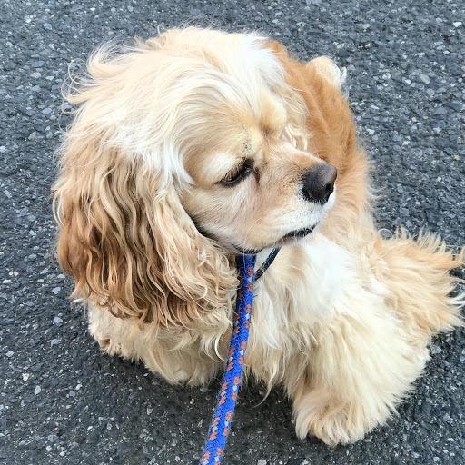 ひろしのプロフィール画像