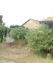 terrain à Castelnau-de-Médoc (33)