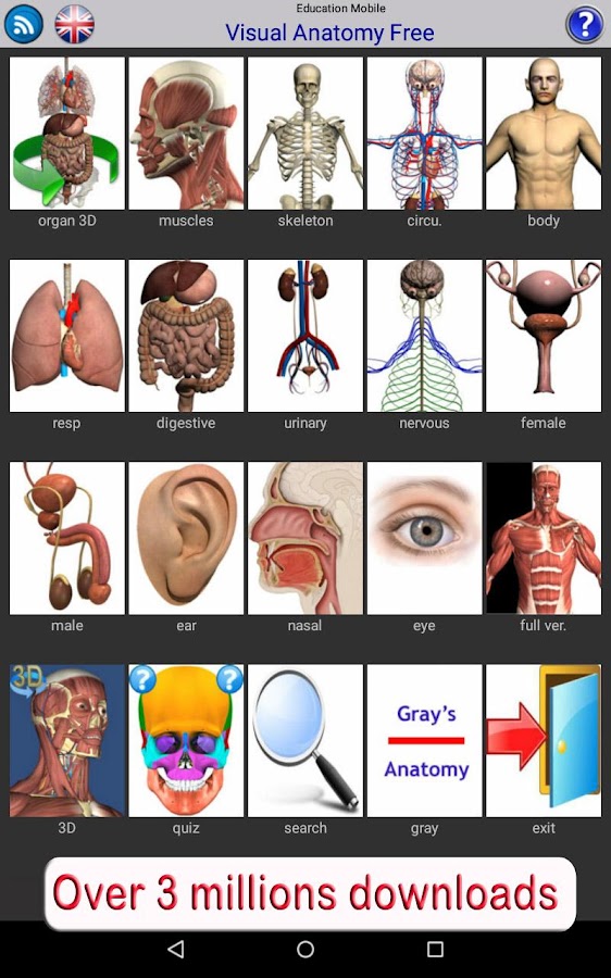 visual anatomy free - screenshot 8