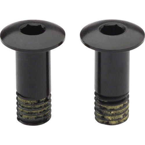 Campagnolo Rear Derailleur Pulley Bolt Set for SR EPS/80th/SR/RE/AT