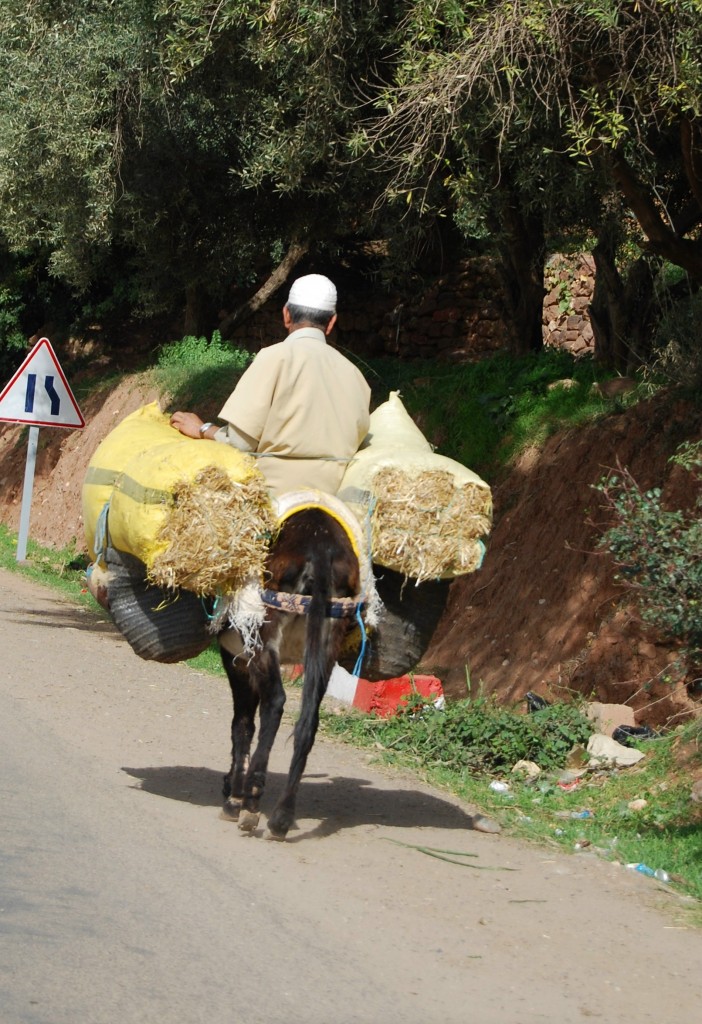 Marocco di maggifranci