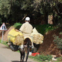 Marocco di 