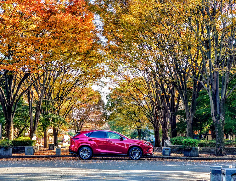 NXのレクサス・nx・紅葉に関するカスタム事例の投稿画像1枚目