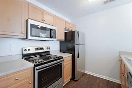 Kitchen with wood-inspired floors & cabinets with light walls & neutral counters with stainless steel appliances.