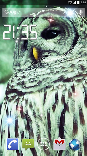 Flying Owl 4K Live Wallpaper