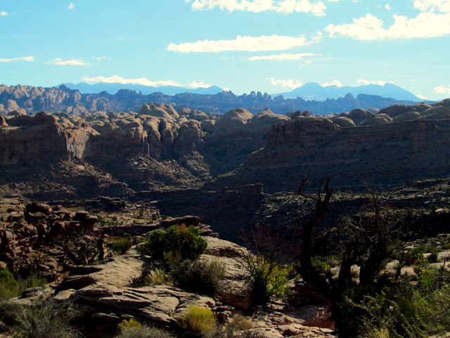 Fins and the La Sals over Kane Creek