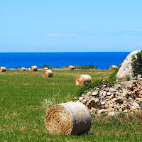 oro giallo di Puglia di 