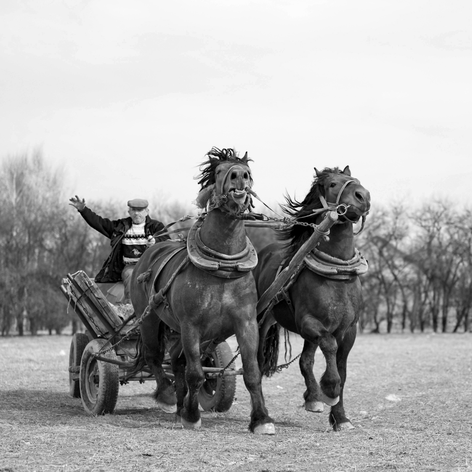 Artur Wysocki - fotografie