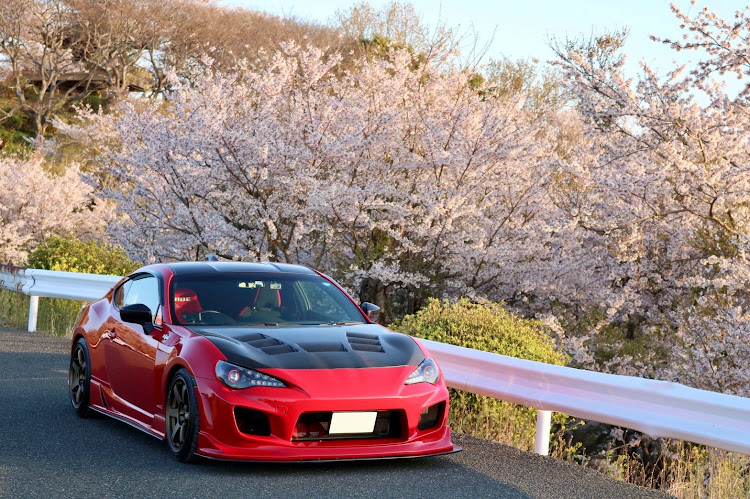 86の桜とコラボ🌸・サクラと愛車・桜・桜とコラボに関するカスタム事例の投稿画像1枚目