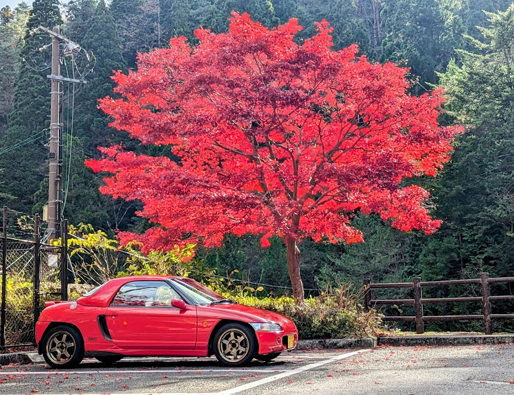 ビートの早朝ドライブ・スパ羅漢・紅葉に関するカスタム事例の投稿画像2枚目