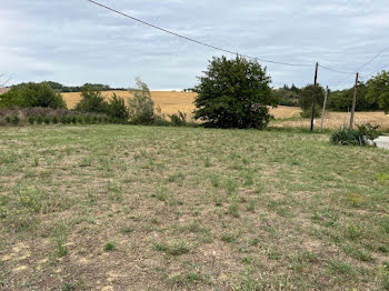 terrain à Sainte-Camelle (11)