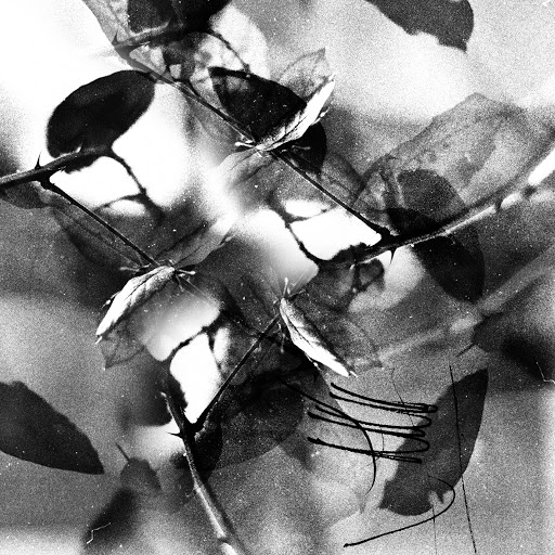 week-1-youtube-music