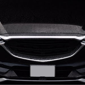 CX-8 KG2P