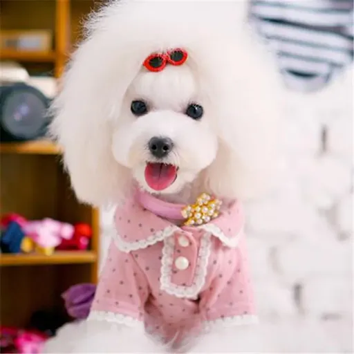 New Pet Lovely Heart Sunglasses Hairpins Pet Dog Bows Hair Clips for Puppy Dogs Cat Yorkie Teddy Pet Hair Decor Pet Supp