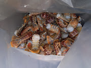 A man transporting crayfish tails has been arrested.