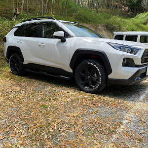 RAV4 MXAA52